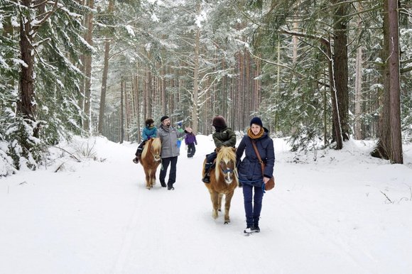 STERN_ponywanderung_winter.jpg