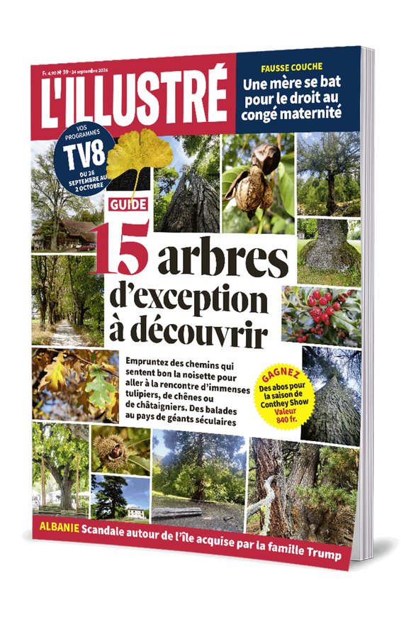 CMS_Illustre_Cover39.png